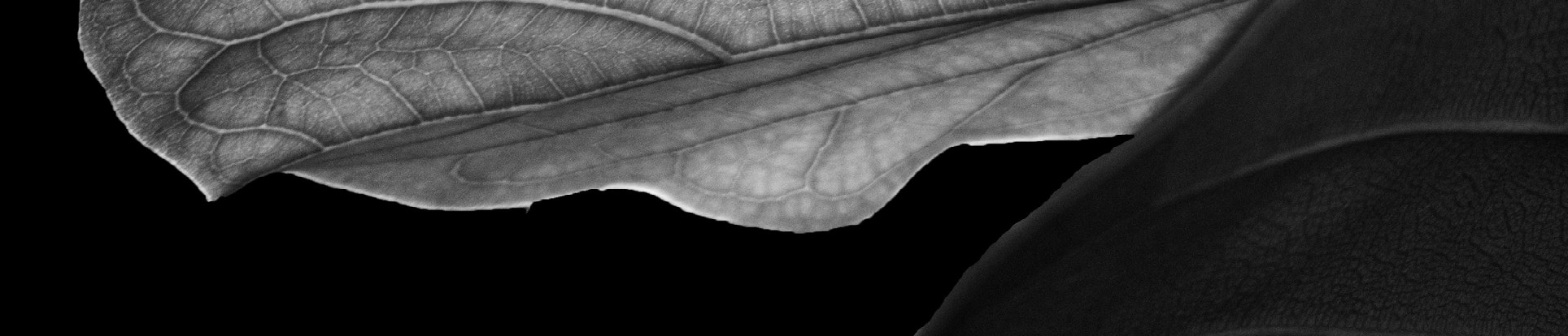WOVEN