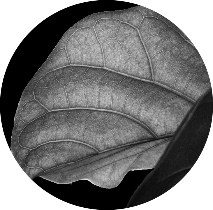 WOVEN